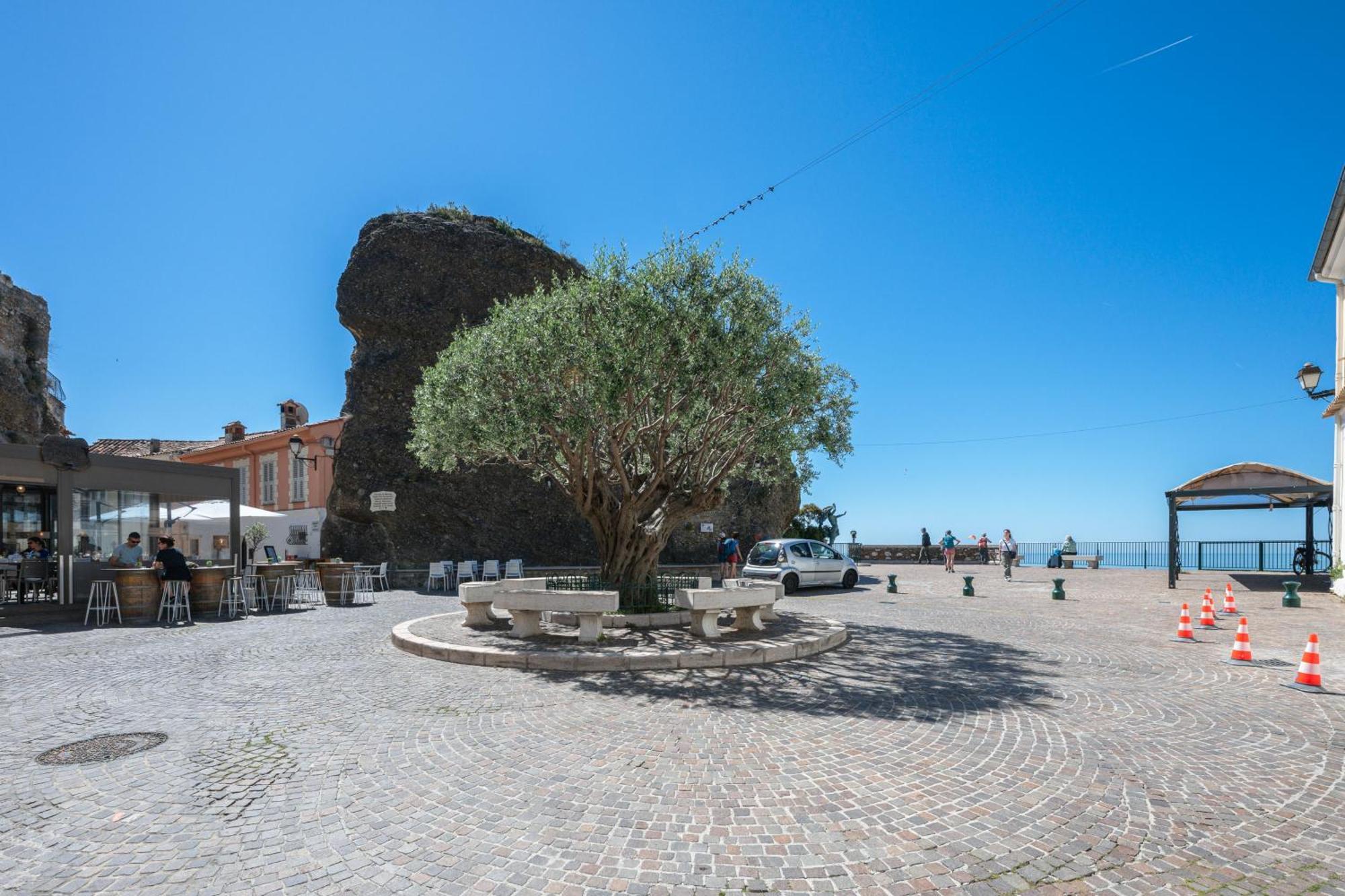 Le Coq Grimaldi - Wifi - Air Conditioning - Quiet Roquebrune-Cap-Martin Exterior foto